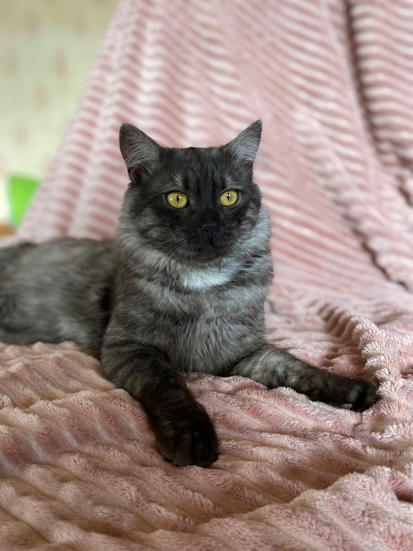 image-11-06-23-09-24-14