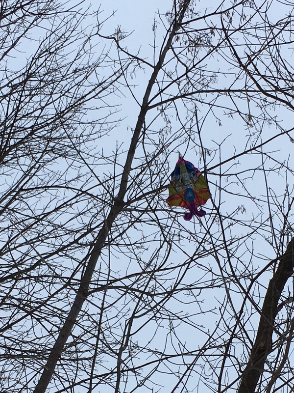 A66D9E11-CED1-4DF2-9E4B-F9386ABD5FC7