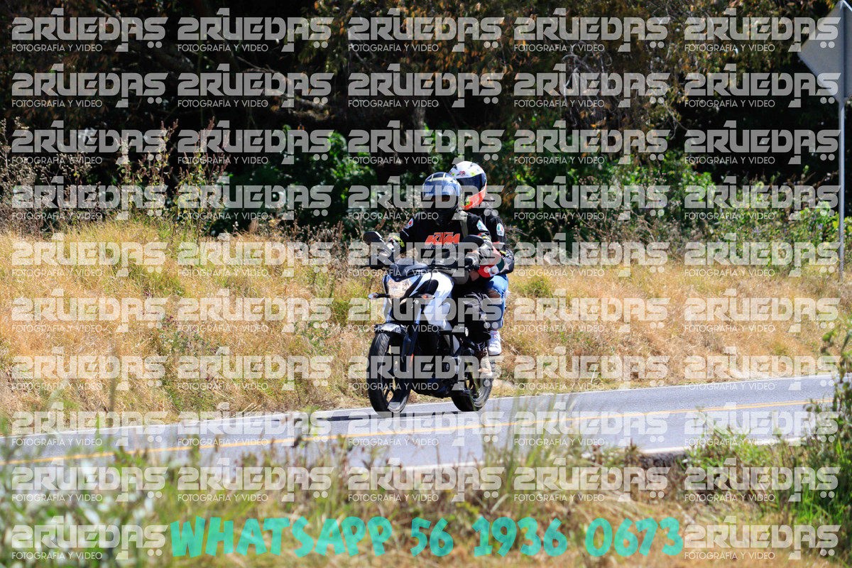 MG 1291 — Postimages