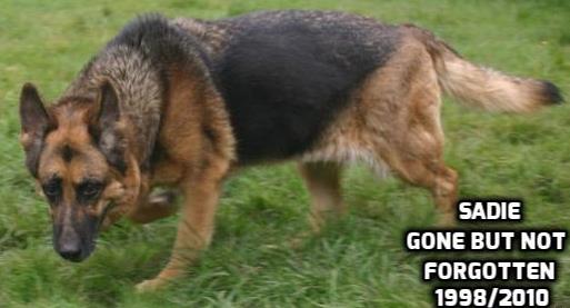 nnnnn.jpg