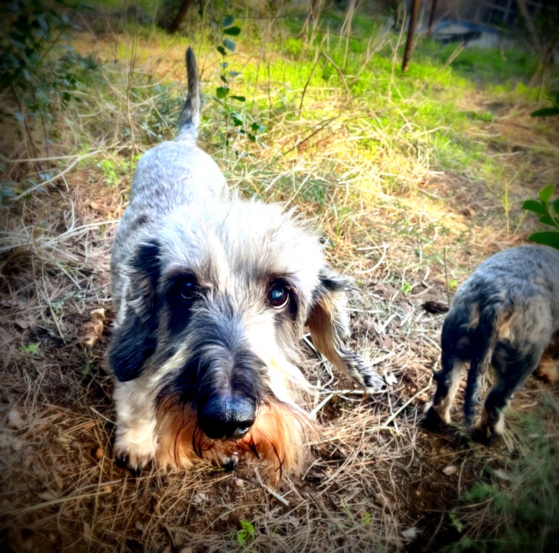 [Image: IMG-2177.jpg]