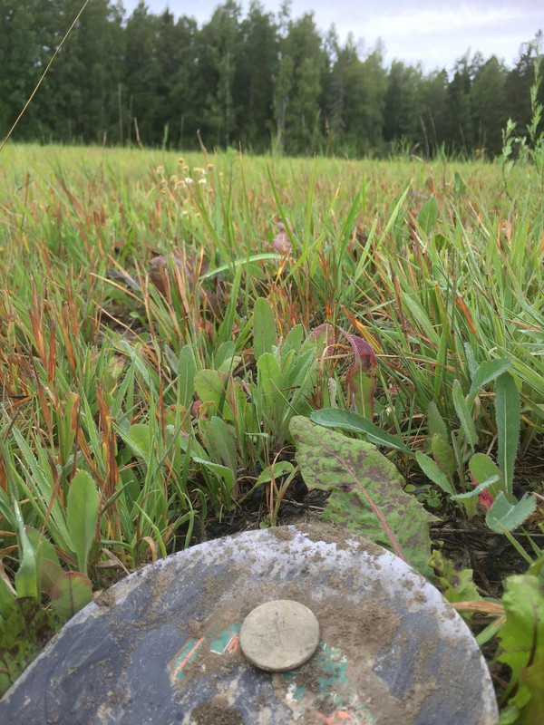 58418659-F9FD-4679-93DF-0F52B0B60398