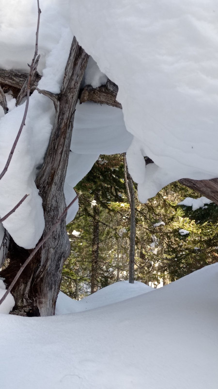 IMG-cb6069f90a60fc07689a53ca36017a6c-V