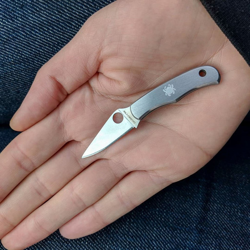 spyderco bug knife