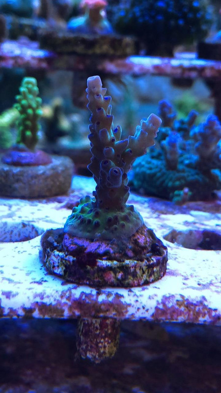 FE8643B4-C4EF-498F-A664-A302D200966B