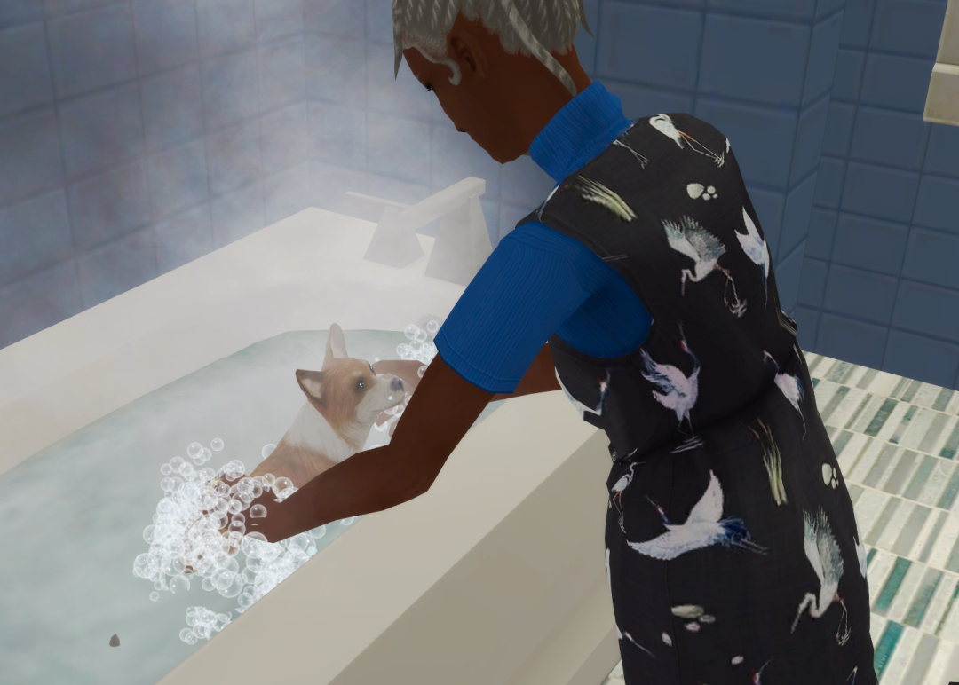 Sims2-EP9-RPC-2023-10-20-19-10-33-68