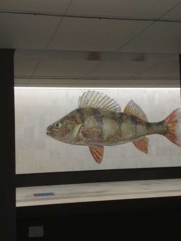 С телефона Мое и Барбье 153