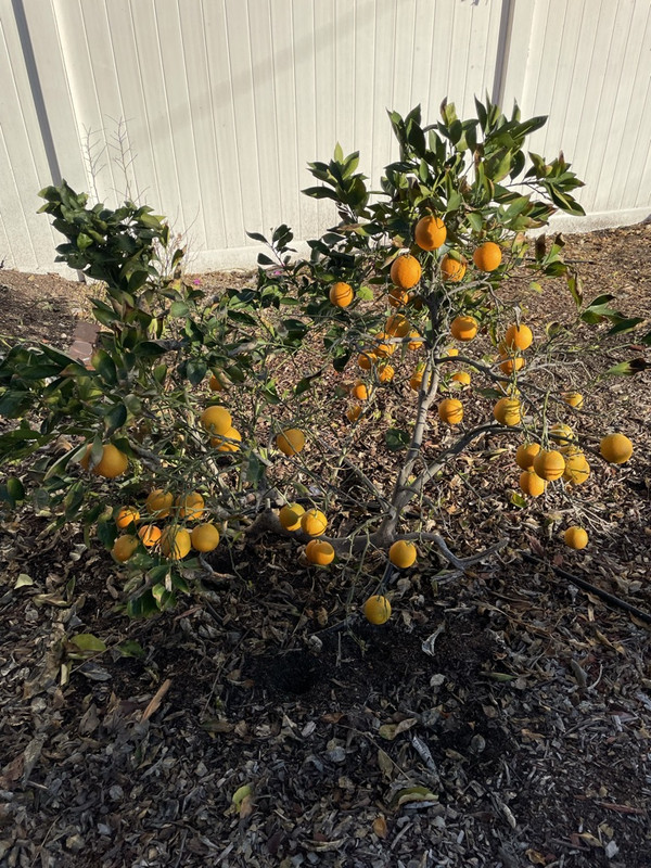 BF62CD5A-A917-4EC4-900F-D3CC3AB87FDB_1_105_c