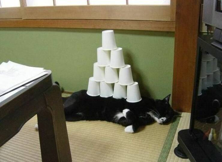 daily-picdump-17-1.jpg