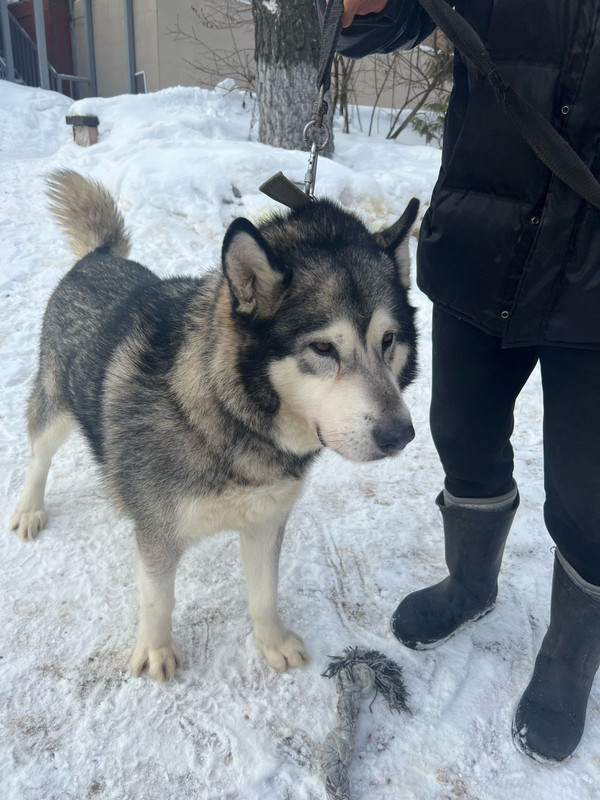 WhatsApp Image 2024-02-13 at 13.27.51 (1)