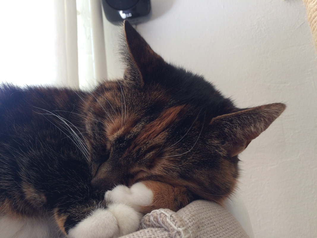 F03D3B7D-61C3-4478-8476-B43E61DFAF51