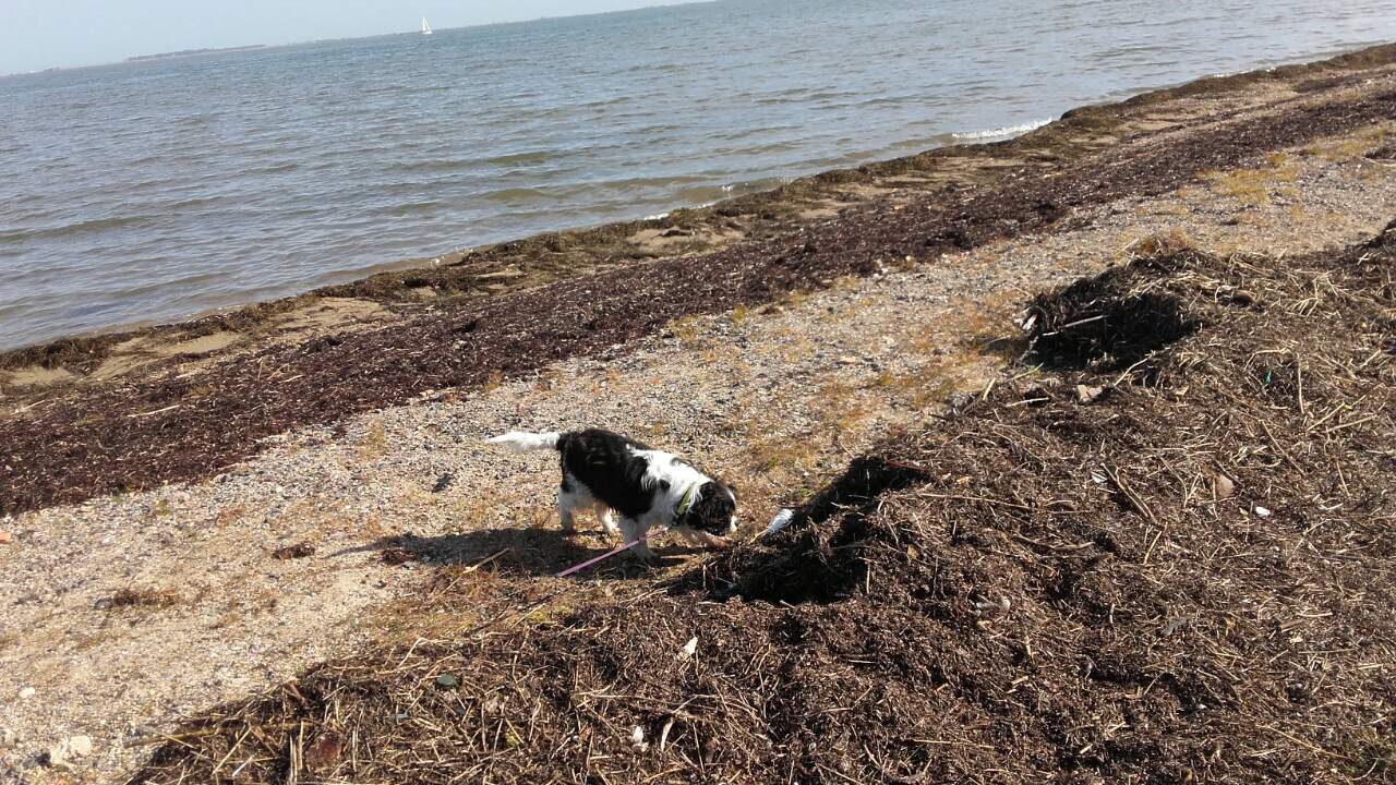 1A7F9FB8-9C2A-419E-A959-2EECC34CCA08