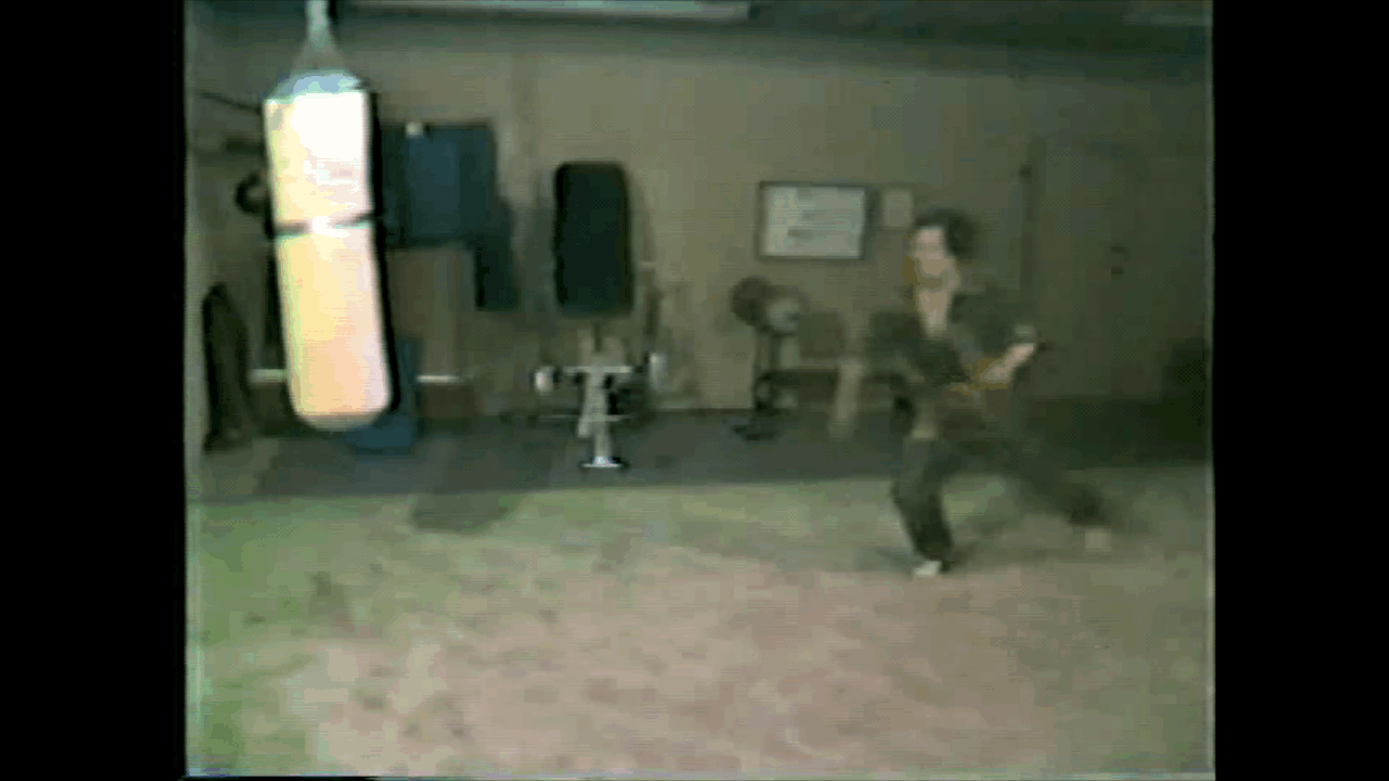lin flying side kick
