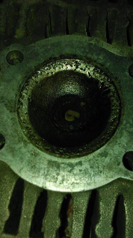 11222015_920553674648729_726806421418554460_n