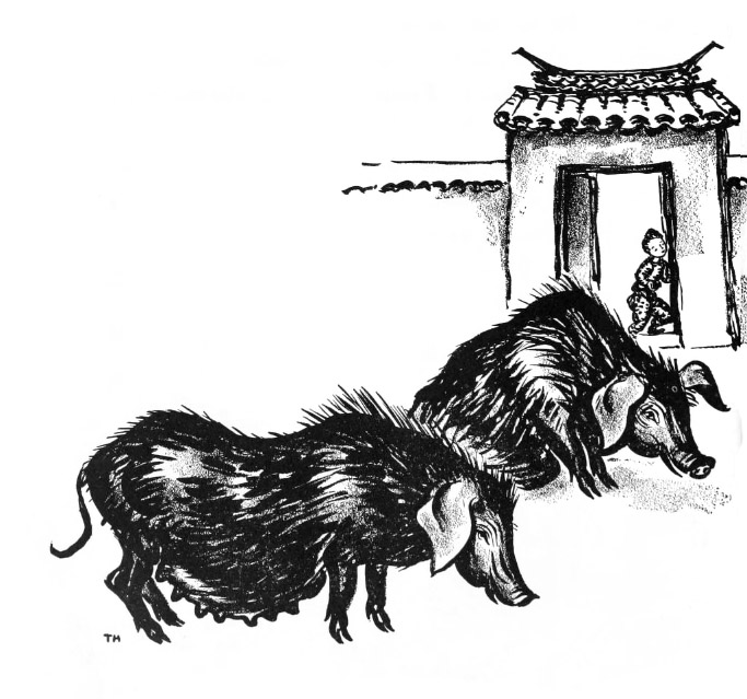 05