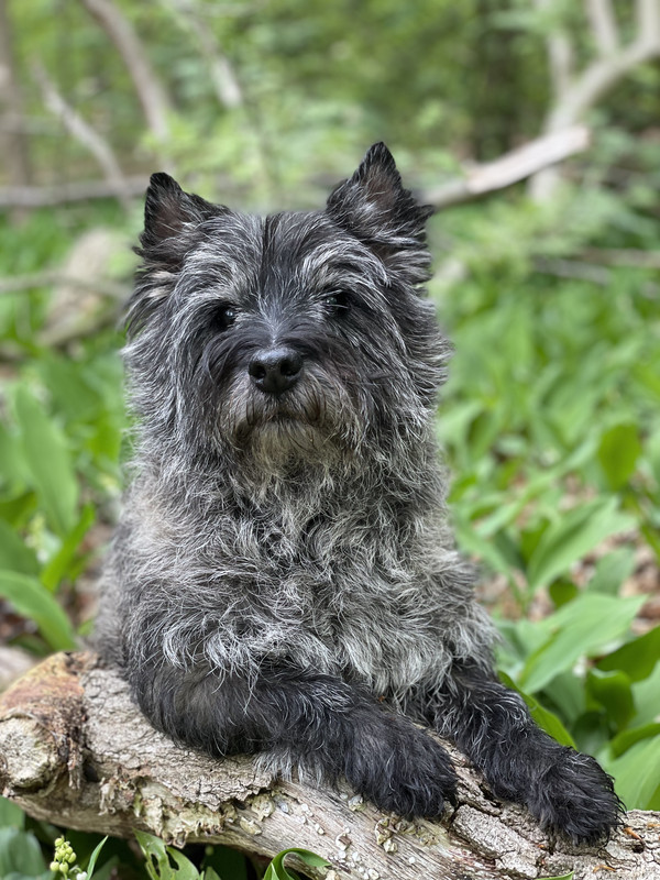 00EC1D34-EB15-40EF-A2D1-98DE004E8FB5