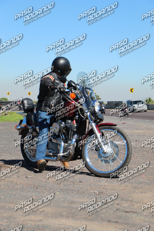 IMG 3059 wm 9160448 600000001 watermarked — Postimages