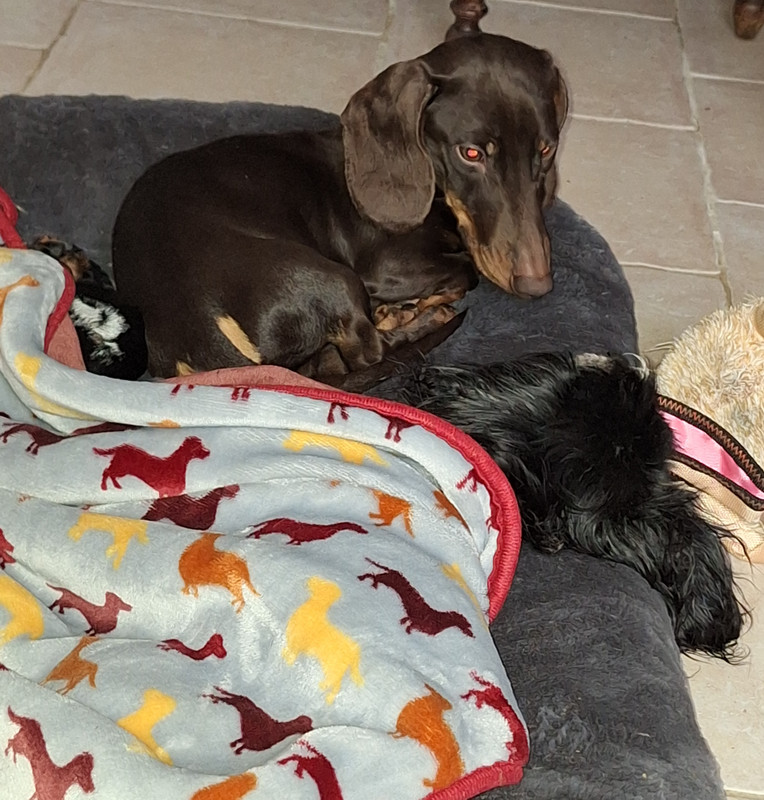 [Image: 20240205-135243.jpg]