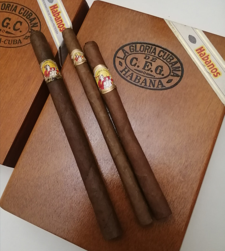 IMG_20221120_153633[1]