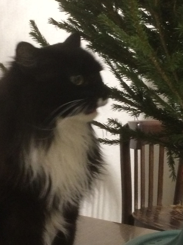 24AFC8BB-A101-4422-8CC7-957E804A8B30