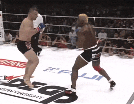 Randleman-KO-Crocop.gif