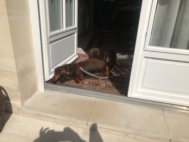 [Image: IMG-2886.jpg]