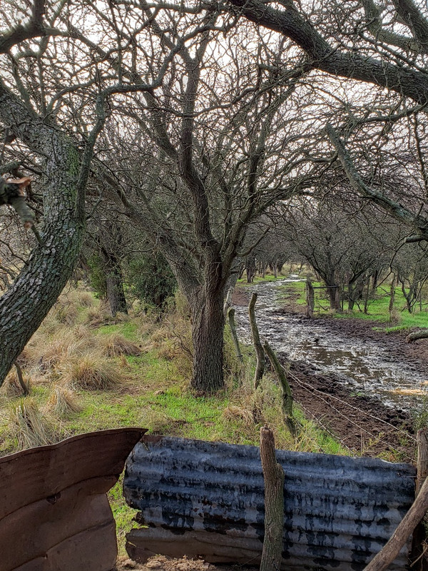 20190615_103602_resized