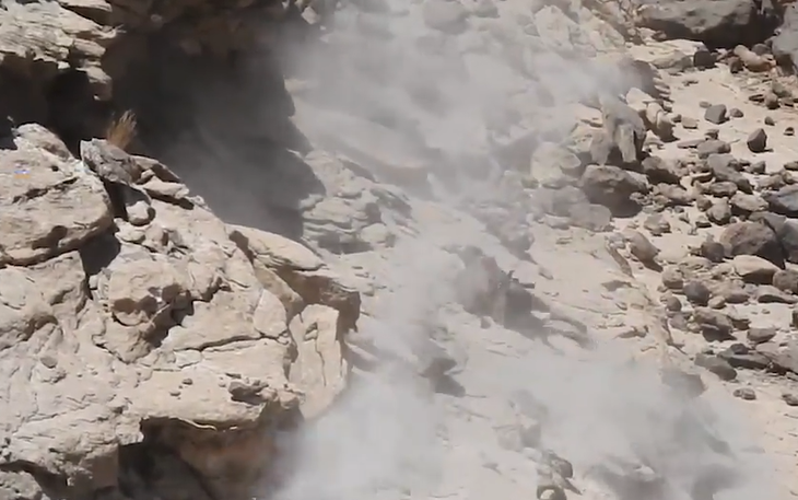 Снимок экрана (2)