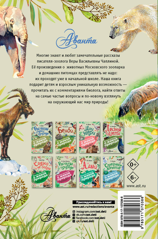 2-cover4