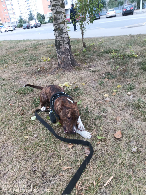 4D3C8440-5DA2-49A2-9136-808AFDB2451E