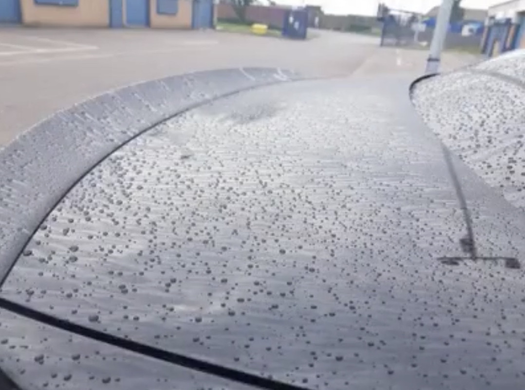 AFEDF55E-F6E0-43A5-80FC-C36BBA547104