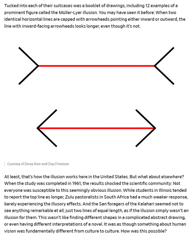 [Image: Do-we-all-see-the-same-thing-We-looked-a...ing-su.png]