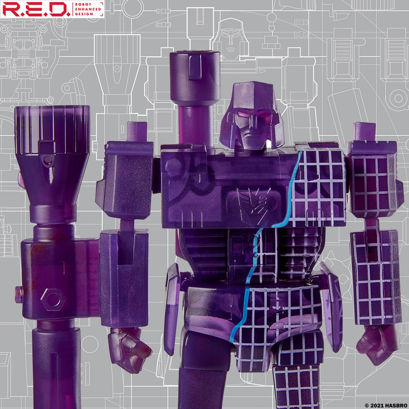 221452707_4624522270914011_4753033278444535136_n