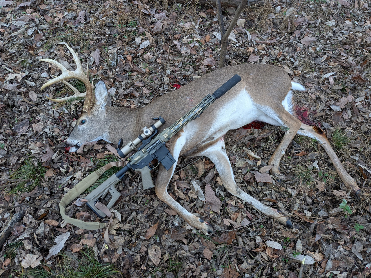 PXL 20251123 215755766