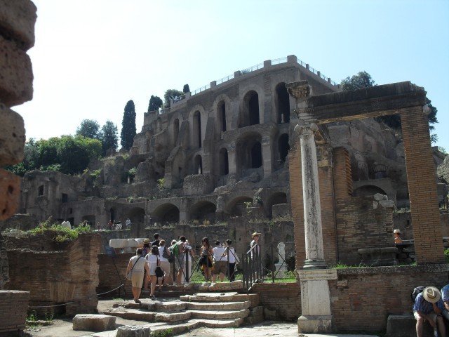 SDC10486
