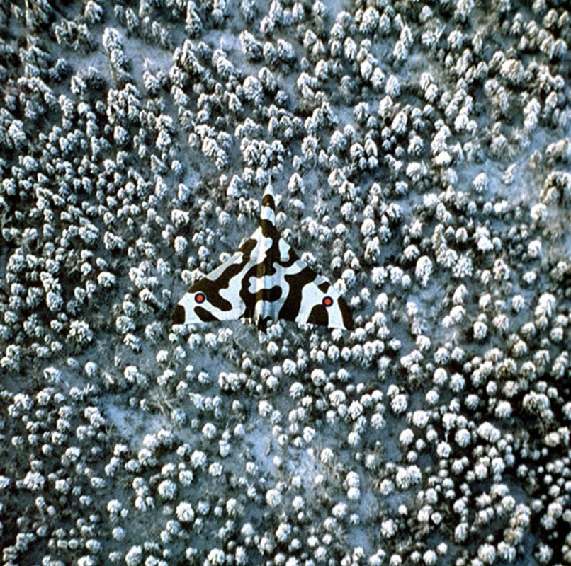 Avro-Vulcan-camo-1-1024x1016.jpg
