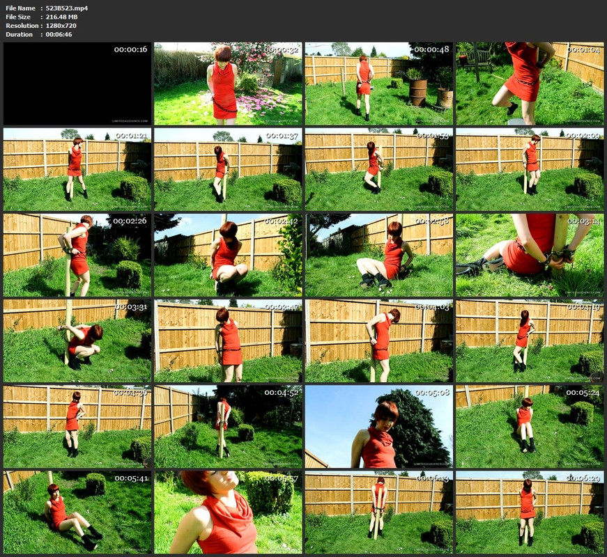 523B523.mp4