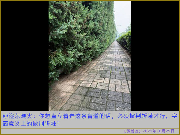 https://i.postimg.cc/bY7MvBrQ/20251029-bt-7.jpg