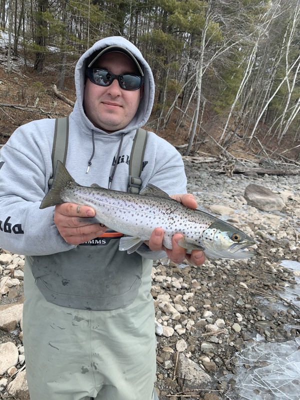 029E53E0-E985-41F1-A576-29AB870AEC00