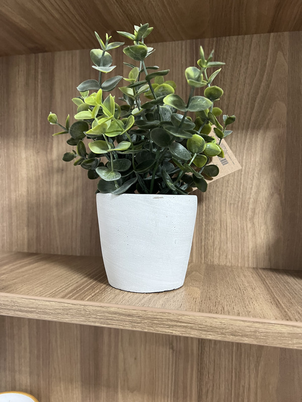 F69FBF15-E82F-4586-943B-401A69649573