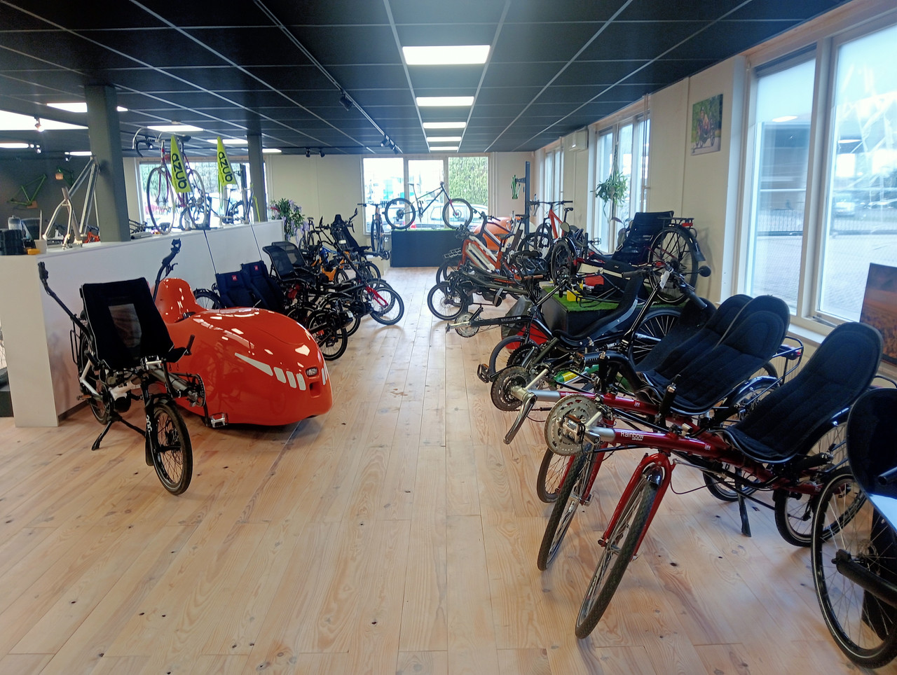 [Afbeelding: IMG20251108123654.jpg]