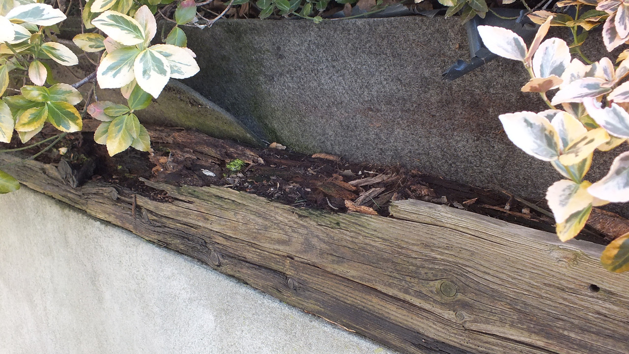 Gehölzrand für Module (10)