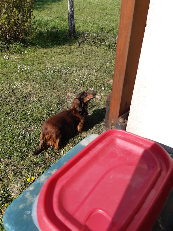 [Image: 20210420-104758.jpg]