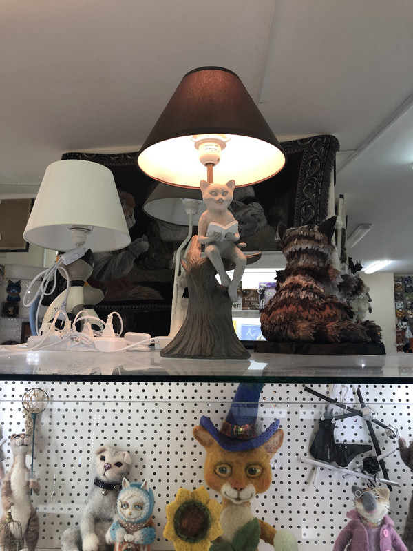 7097FF75-A311-4FF4-B23D-F5683C3F9CCE