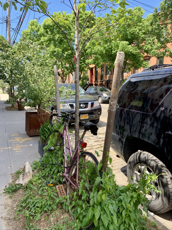 0A88355A-6EDE-44DD-841B-0434C534CA89