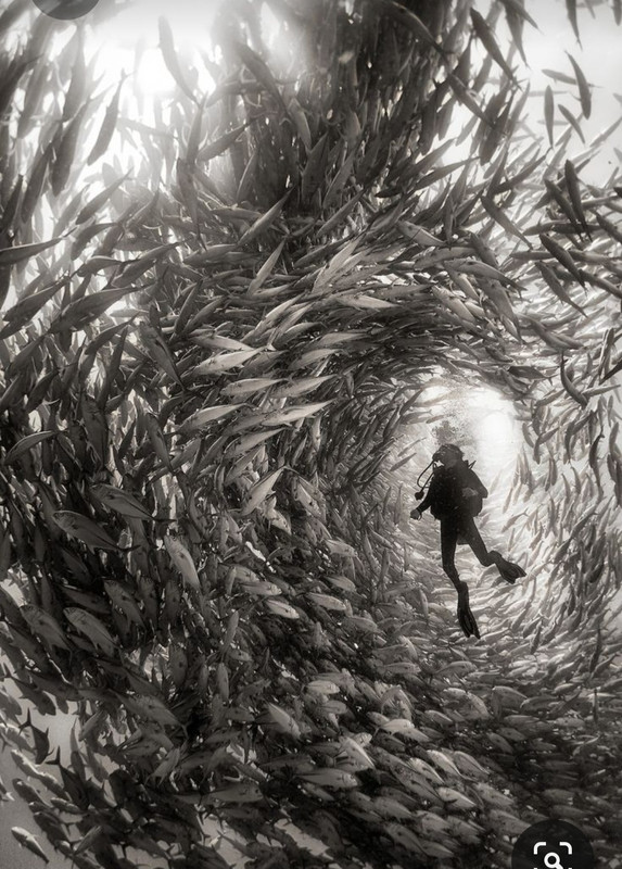 Screenshot_20230324_232256_Pinterest