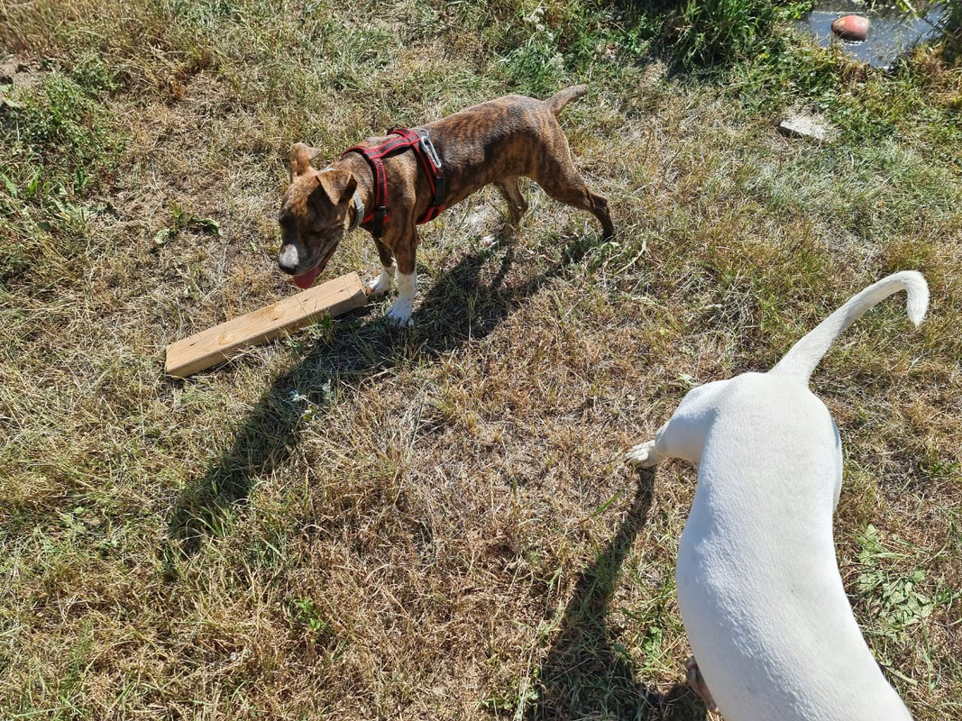 9E9F21E3-CEAE-4B5E-AAC1-A84C6F462C7F