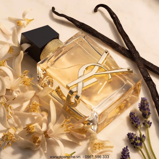 [تصویر:  Libre-EDP-16.png]