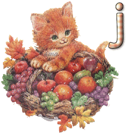 El Gatito y las Frutas  J