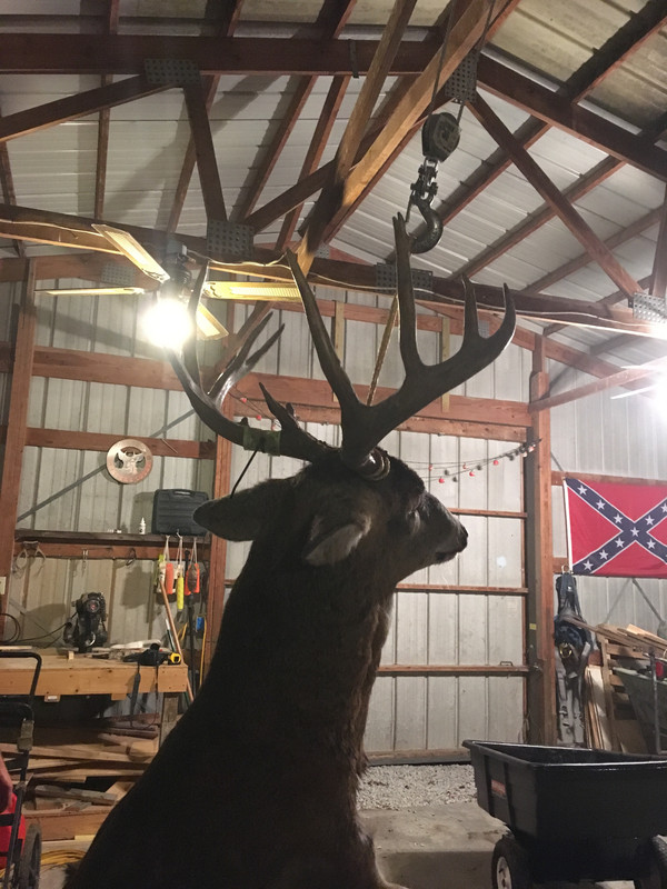 64E89AEC-FF75-4E49-B3DE-9668D6D43E3D